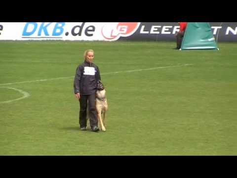 WK FMBB 2010 - Mia Skogster - Obedience - Grand Finale