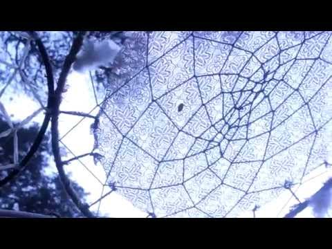 Making of Fauna & Flora SG 017, Chaclacayo- Perú