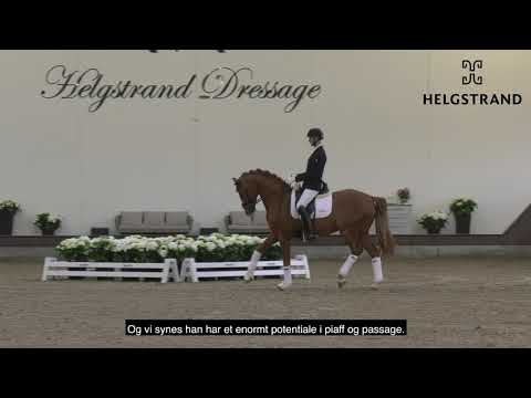 Quaterhit 2020 Helgstrand Dressage