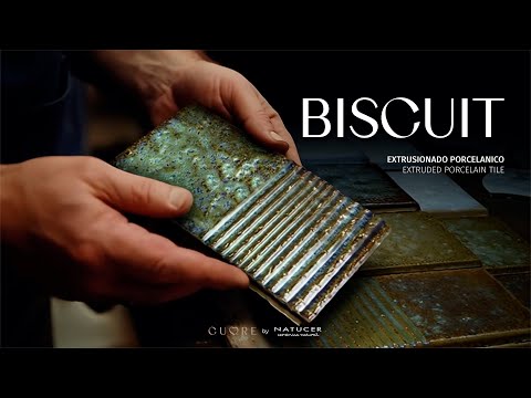 Imagen representativa video