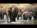 Tamil Nadu Tourism Film