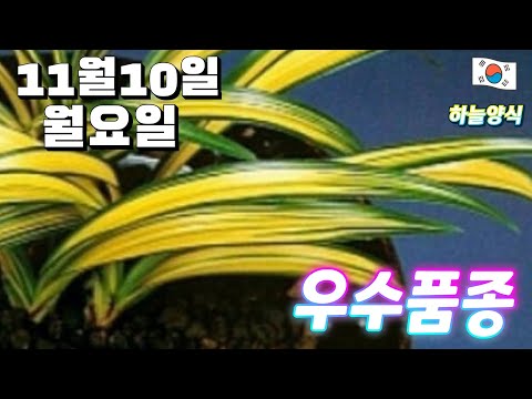 유튜브 썸네일