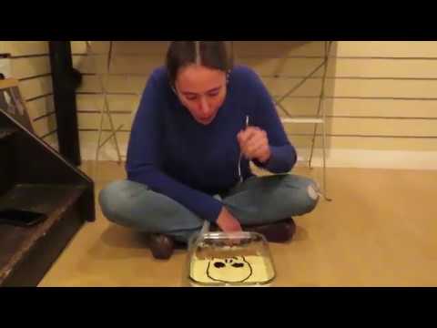 Julia Rose Lewis - Memento Mori : Writers Centre Kingston