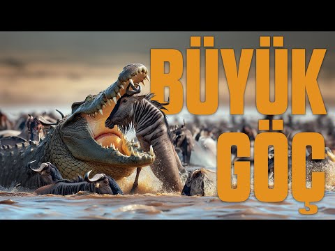 DIE GROSSE MIGRATION | Kompletter Dokumentarfilm von der Serengeti bis zur Masai Mara