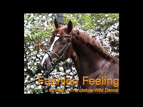 Fashion Feeling 3 j  Wall  v  Franziskus Wild Dance sold!