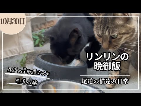ロビンの冬の好きな食べ物は何ですか