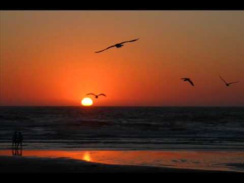 SOMOS LUZ MACACO Y CHAMBAO