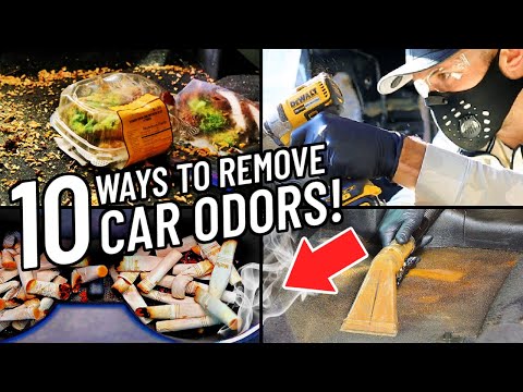 10 Ways To Remove Odors From Your Car