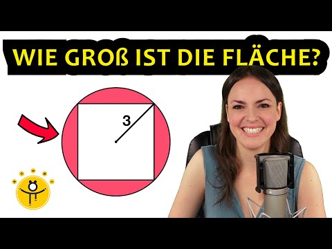 AUFNAHMETEST Studienkolleg Mathematik – Berechne die Fläche!