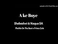 Naqua SA X Shebeshxt Ake Boye X Phopla On The Beat Prince Zulu