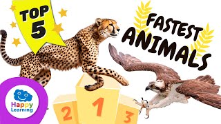 Top 5 Fastest Animals in the World | Educational Videos for Children
