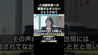 小池百合子への暴露が止まらないさとうさおり...会場が凍りつく【小池都知事/都議会】