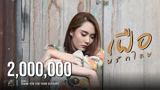เฝือ – พริกไทย (โก๊ะ, ไข่มุก, ต้อง)