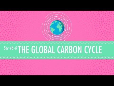 The Global Carbon Cycle: Crash Course Chemistry #46