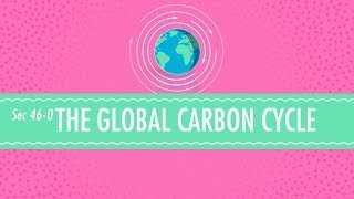 The Global Carbon Cycle - Crash Course Chemistry #46