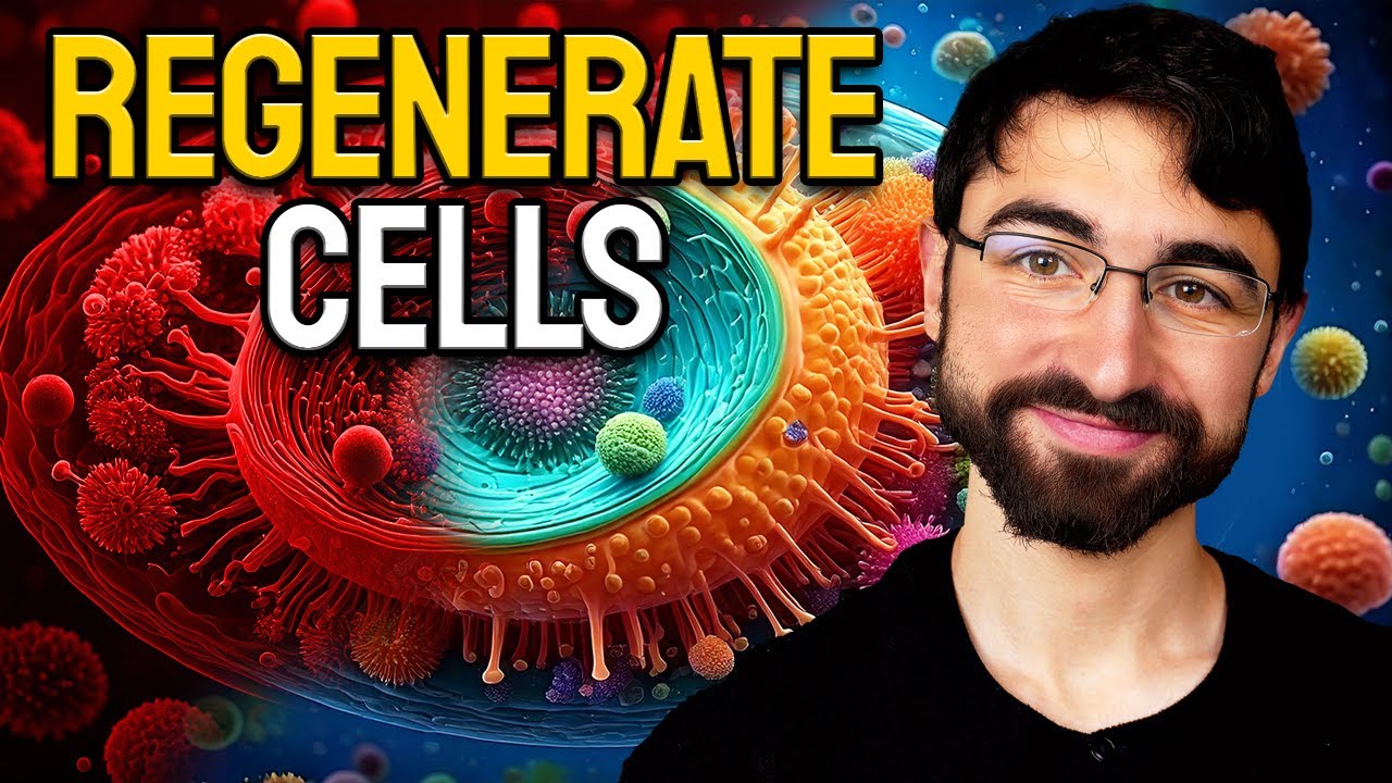 An Accessible Solution to Protect Your Gut from Stress