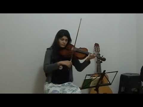 67 Olhei para o firmamento - O Cruzeiro - Mestre Irineu - Viola de Arco - Sol Fostinoni