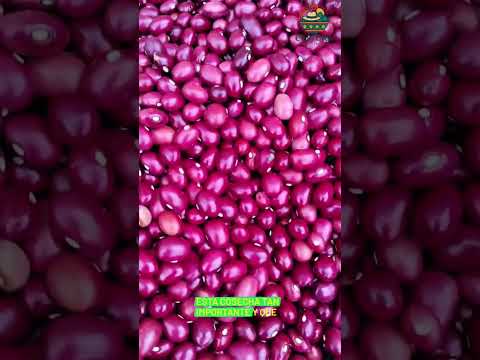 Cultivos de nuestro Socotá boyacá. #turismo #campo #trabajo