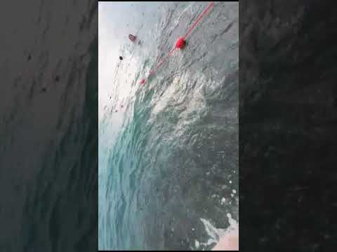 снова на пляже Ревьера #лайк #коментарий #оценкаканала #рек