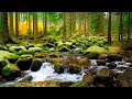 Mountain River Waterfall Sounds 24/7 | White Noise Waterfall Sounds | Stream Sounds for Deep Sleep.
