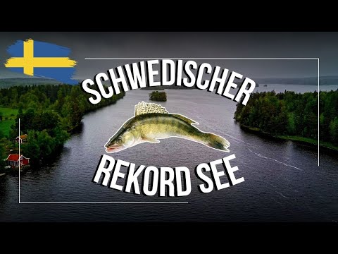 Am I failing? Fishing at the Zander Record Lake in Sweden – My first campervan trip