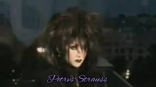 Bad and Beautiful- Neil Sedaka (Subtitulado en Español)