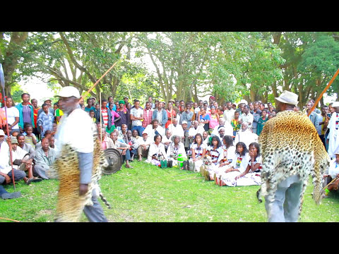 #New #oromo #music Ayyaanoo Bariisoo (Jiillicha) 2021