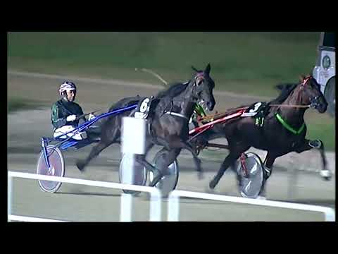 Napoli Trotto 25/06/2022 - 7ª corsa