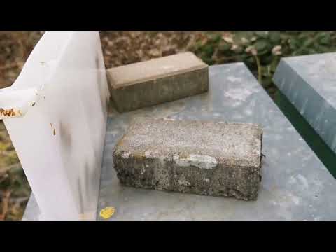 Notfütterung im März bei meinen Bienen.