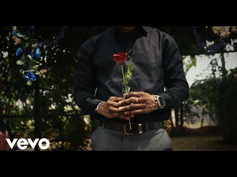 Baron Petitdjoul - Tu m'as fait mal (Clip Officiel)