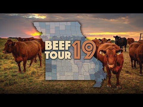 2019 Beef Tour Preview