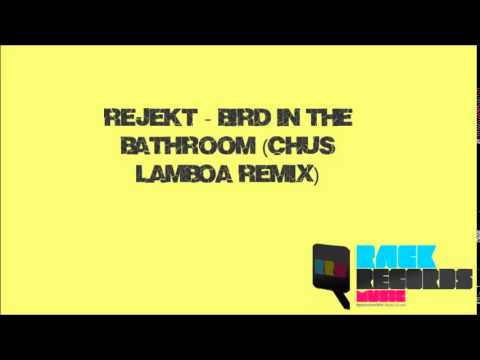 Rejekt - Bird in the bathroom (Chus Lamboa Remix)