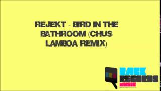 Rejekt - Bird in the bathroom (Chus Lamboa Remix)