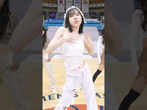 아이콘