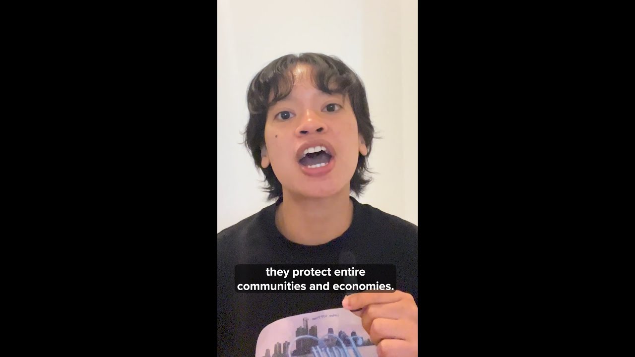 Protecting people, communities and economies