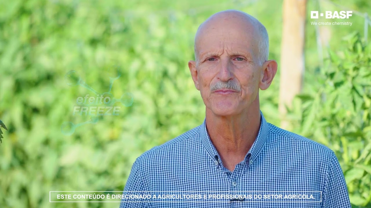 Efficon® da BASF: o inédito efeito Freeze contra pragas do tomate.