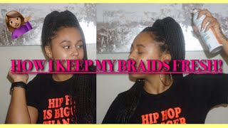 HOW I KEEP MY BRAIDS FRESH & CLEAN: Itchy Scalp, Smelling Good, & While Working out + Cute Styles!