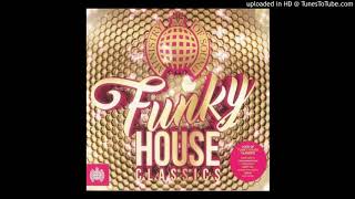 David Guetta - Just A Little More Love (Funky House Remix)