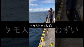 【伊豆大島釣り】大きい魚のタモ入れってむずい① #short