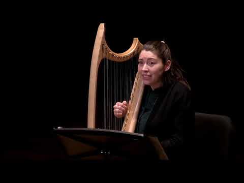 Gefiolierte blute Kunst by Heinrich von Meissen