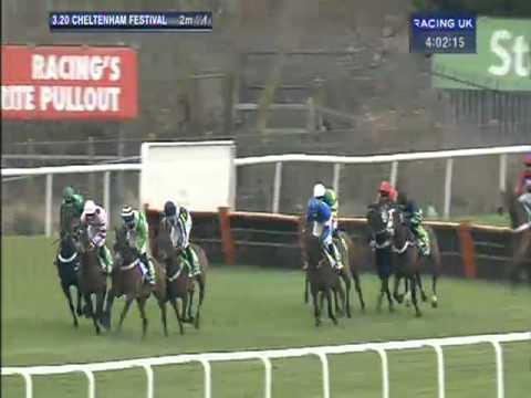 Cheltenham Festival 2013: Stan James Champion Hurdle Challenge Trophy - Hurricane Fly