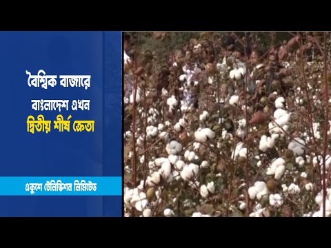 তুলার চাহিদার ৯৬ ভাগই আমদানি-নির্ভর তুলা