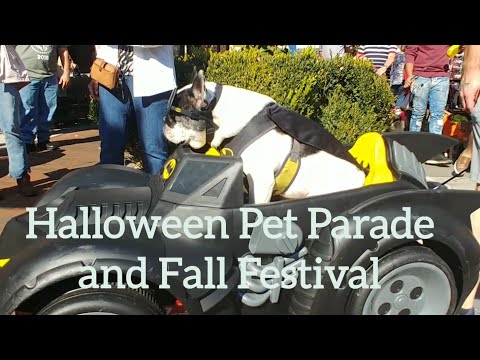Halloween Pets Parade Festival at Easton Town Center...