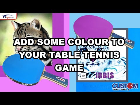 Spinlord Colour Rubbers & Bats - Irbis Blue Ozelot Purple