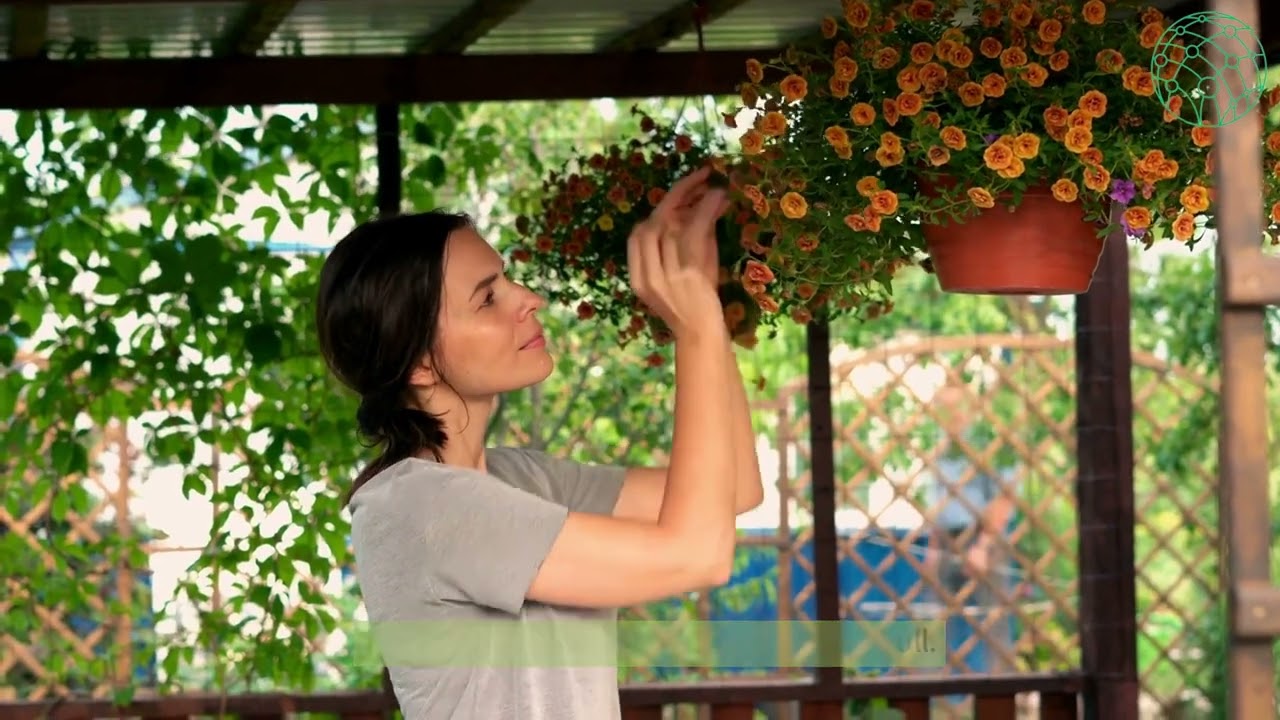Expand Your Garden Creative Ideas for Small Spaces