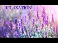 Relaxing Sleep Music: Deep Meditation Music, Stress Relief, "Renewing Spring" By Tim Janis