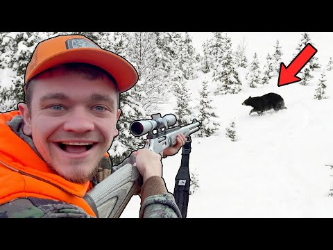 I Hunted Black Bears in the Snowy Mountains!