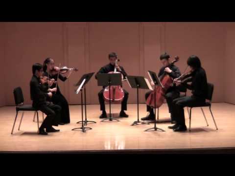 Schubert: Quintet in C Major, D. 956, I. Allegro ma non troppo
