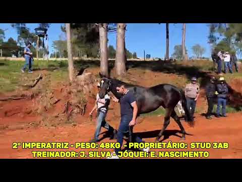 HÍPICA ALFREDO CONCEIÇÃO - APRESENTAÇÃO DO GP REI E RAINHA DA VELOCIDADE 