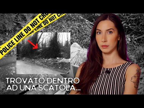 LA MISTERIOSA STORIA DELLO SCONOSCIUTO D'AMERICA